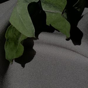 tissu vert de gris (copie)