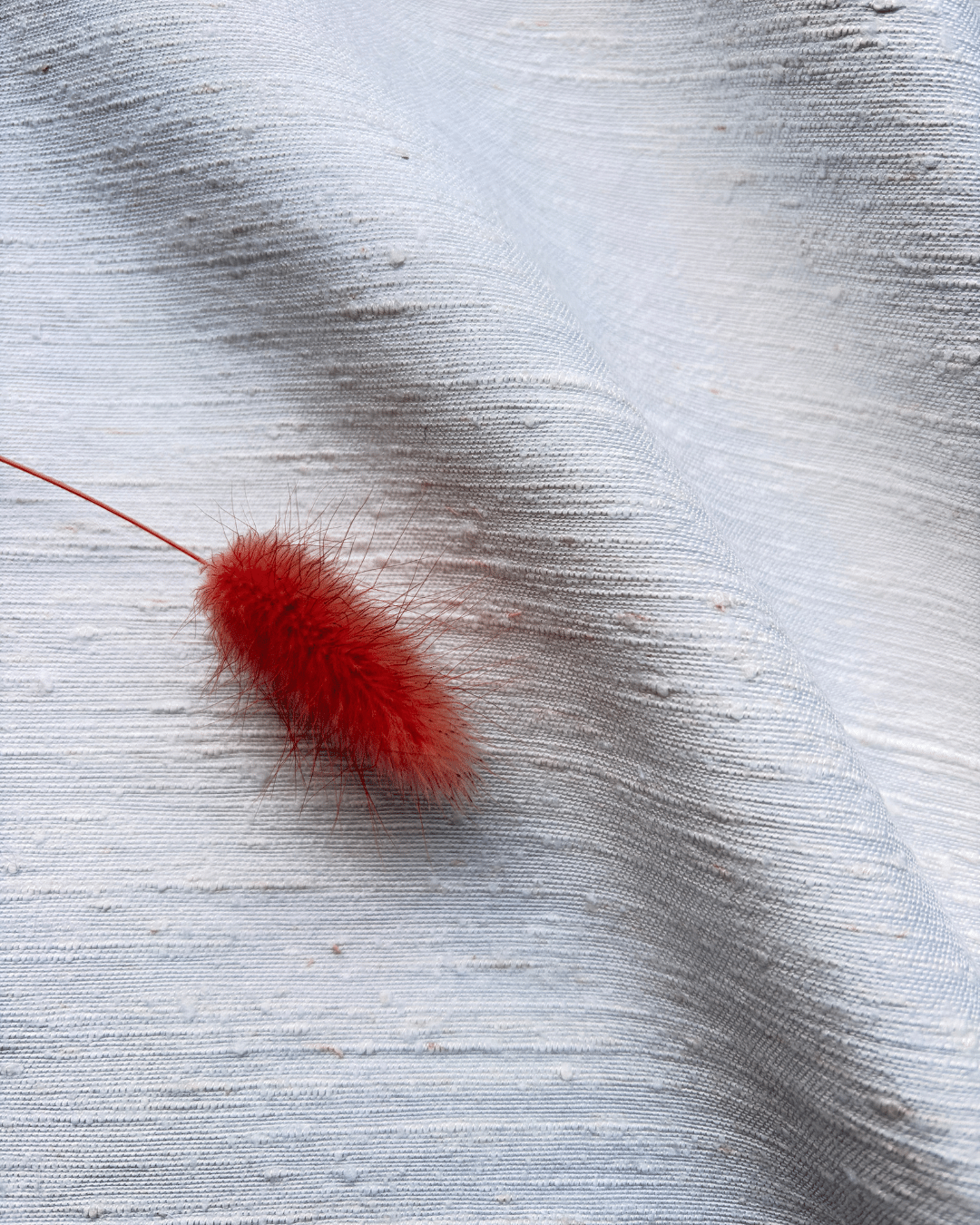 tissu coton blanc lin